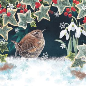 Luxury RSPB Charity Christmas Cards - Wren & Ivy - Pack of 10